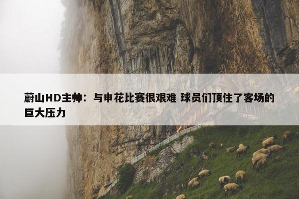 蔚山HD主帅：与申花比赛很艰难 球员们顶住了客场的巨大压力