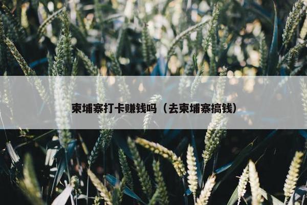 柬埔寨打卡赚钱吗（去柬埔寨搞钱）