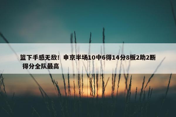 篮下手感无敌！申京半场10中6得14分8板2助2断 得分全队最高