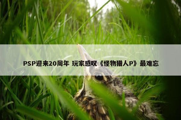 PSP迎来20周年 玩家感叹《怪物猎人P》最难忘