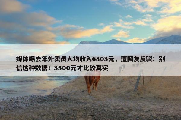 媒体曝去年外卖员人均收入6803元，遭网友反驳：别信这种数据！3500元才比较真实