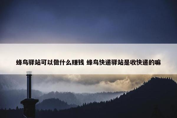 蜂鸟驿站可以做什么赚钱 蜂鸟快递驿站是收快递的嘛