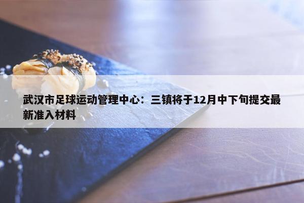 武汉市足球运动管理中心：三镇将于12月中下旬提交最新准入材料