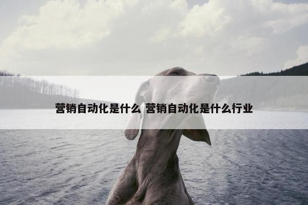 营销自动化是什么 营销自动化是什么行业