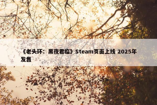 《老头环：黑夜君临》Steam页面上线 2025年发售