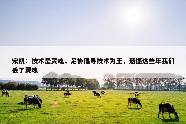 宋凯：技术是灵魂，足协倡导技术为王，遗憾这些年我们丢了灵魂