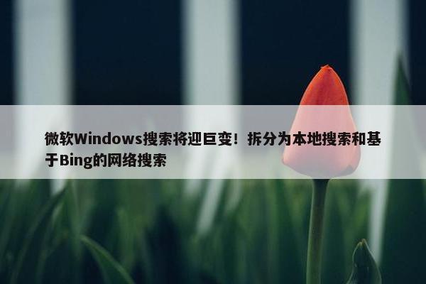 微软Windows搜索将迎巨变！拆分为本地搜索和基于Bing的网络搜索