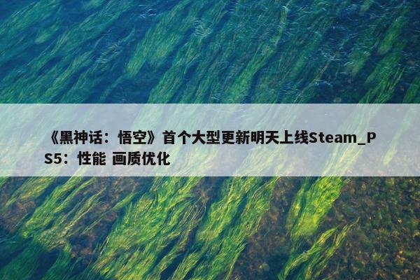 《黑神话：悟空》首个大型更新明天上线Steam_PS5：性能 画质优化