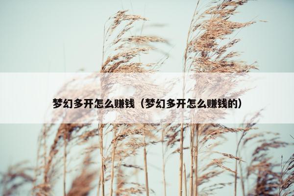 梦幻多开怎么赚钱（梦幻多开怎么赚钱的）