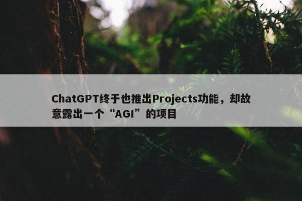 ChatGPT终于也推出Projects功能，却故意露出一个“AGI”的项目