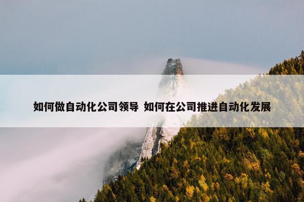 如何做自动化公司领导 如何在公司推进自动化发展