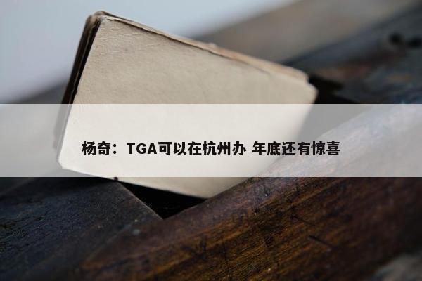 杨奇：TGA可以在杭州办 年底还有惊喜