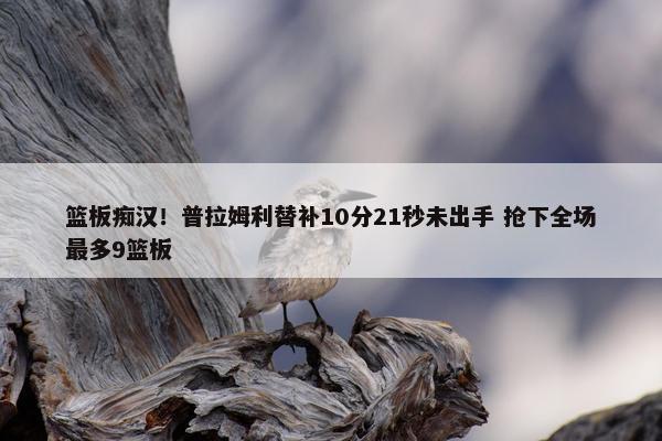 篮板痴汉！普拉姆利替补10分21秒未出手 抢下全场最多9篮板