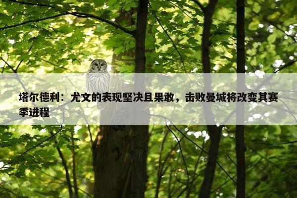 塔尔德利：尤文的表现坚决且果敢，击败曼城将改变其赛季进程