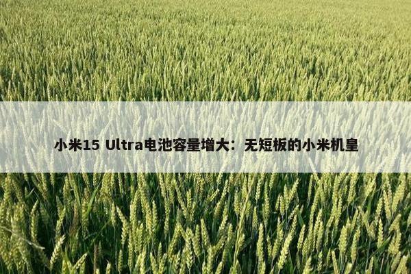 小米15 Ultra电池容量增大：无短板的小米机皇