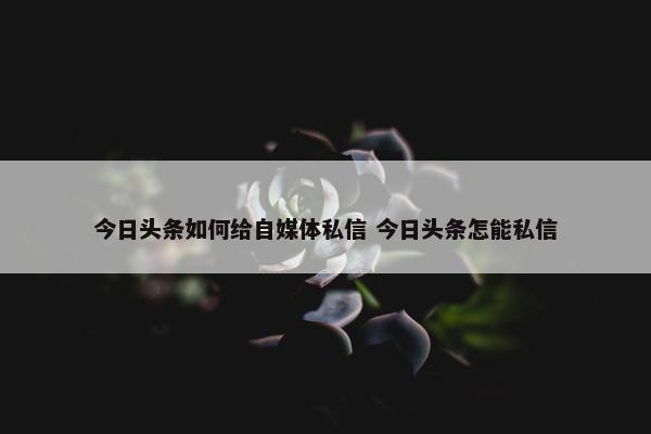 今日头条如何给自媒体私信 今日头条怎能私信