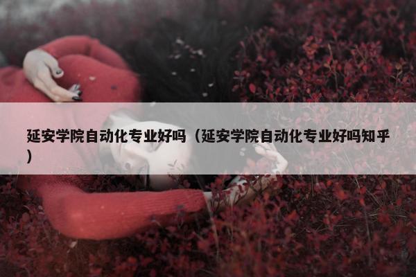 延安学院自动化专业好吗（延安学院自动化专业好吗知乎）