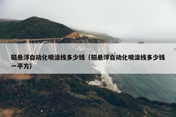 磁悬浮自动化喷涂线多少钱（磁悬浮自动化喷涂线多少钱一平方）