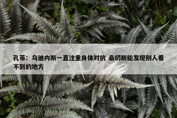 孔蒂：乌迪内斯一直注重身体对抗 桑切斯能发现别人看不到的地方