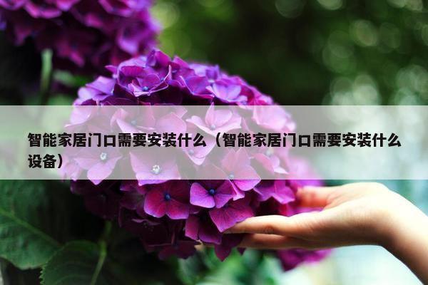 智能家居门口需要安装什么（智能家居门口需要安装什么设备）