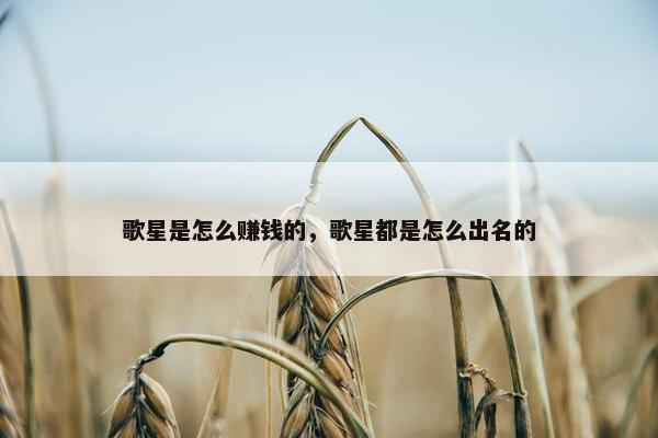 歌星是怎么赚钱的，歌星都是怎么出名的