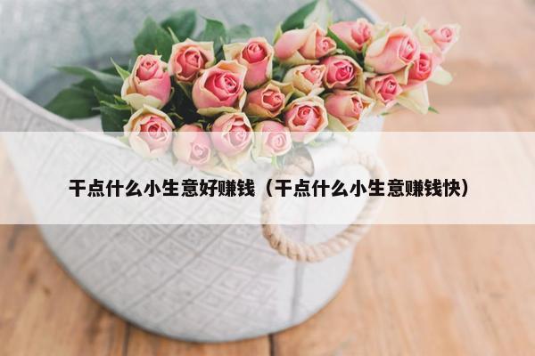 干点什么小生意好赚钱（干点什么小生意赚钱快）