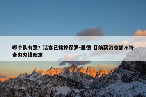 哪个队有意？活塞已裁掉保罗-里德 目前薪资总额不符合穷鬼线规定