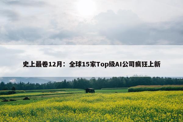 史上最卷12月：全球15家Top级AI公司疯狂上新