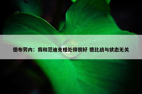 德布劳内：我和范迪克相处得很好 德比战与状态无关