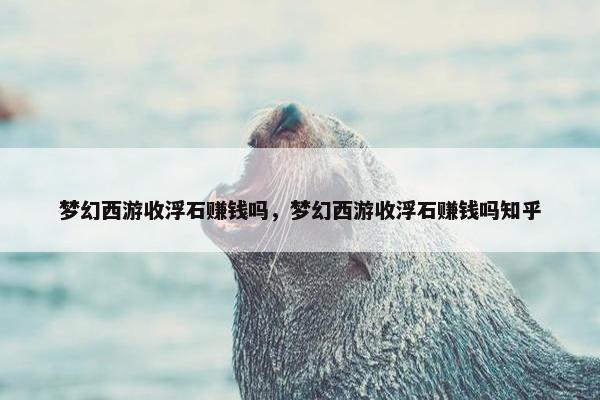 梦幻西游收浮石赚钱吗，梦幻西游收浮石赚钱吗知乎