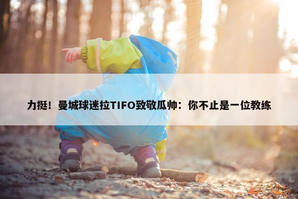 力挺！曼城球迷拉TIFO致敬瓜帅：你不止是一位教练