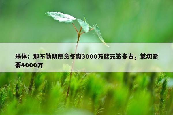 米体：那不勒斯愿意冬窗3000万欧元签多古，莱切索要4000万