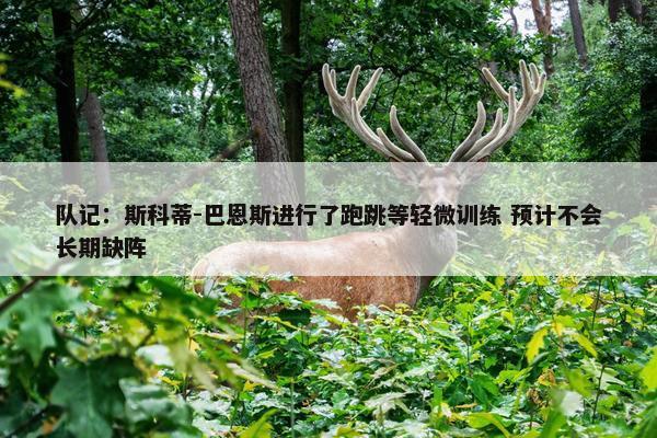 队记：斯科蒂-巴恩斯进行了跑跳等轻微训练 预计不会长期缺阵