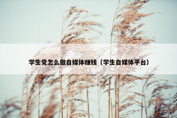 学生党怎么做自媒体赚钱（学生自媒体平台）